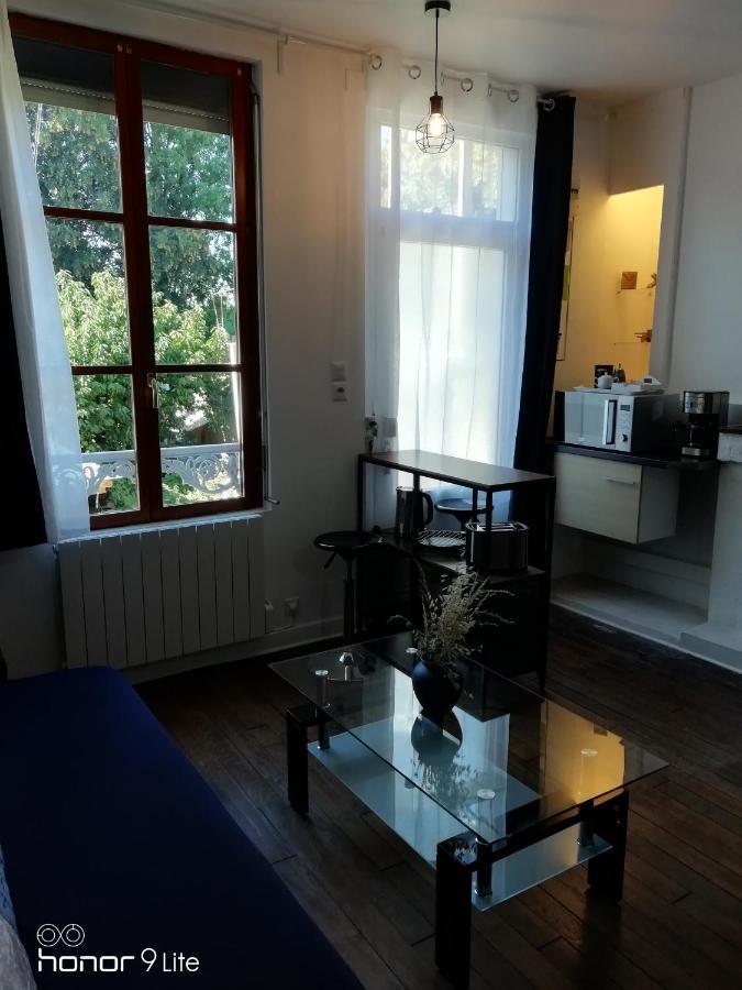 Centre Troyes Avec Vue Sur Parc, Simplicite D'Acces, Charme Et Confort Garanti Zewnętrze zdjęcie
